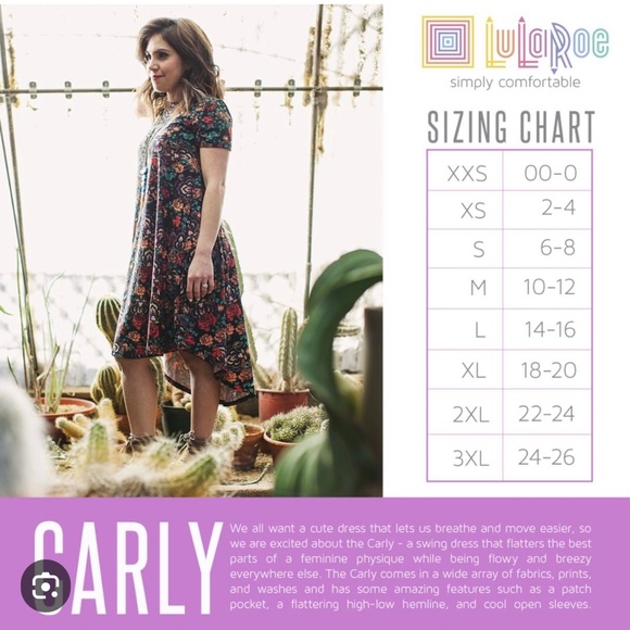 LuLaRoe New XS Striped Carly Dress Extra Small NWT - Picture 9 of 9